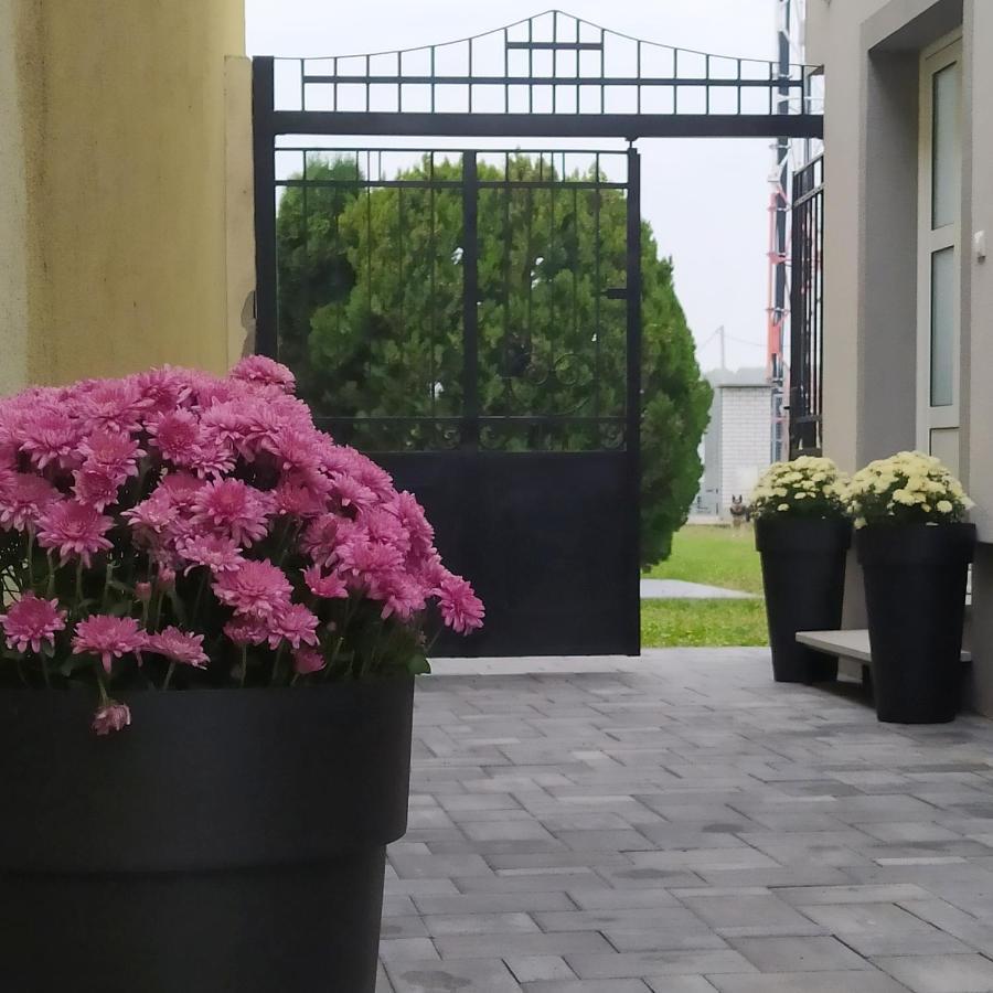 Villa Ponte Pančevo Extérieur photo